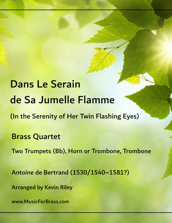 Dans Le Serain de Sa Jumelle Flamme