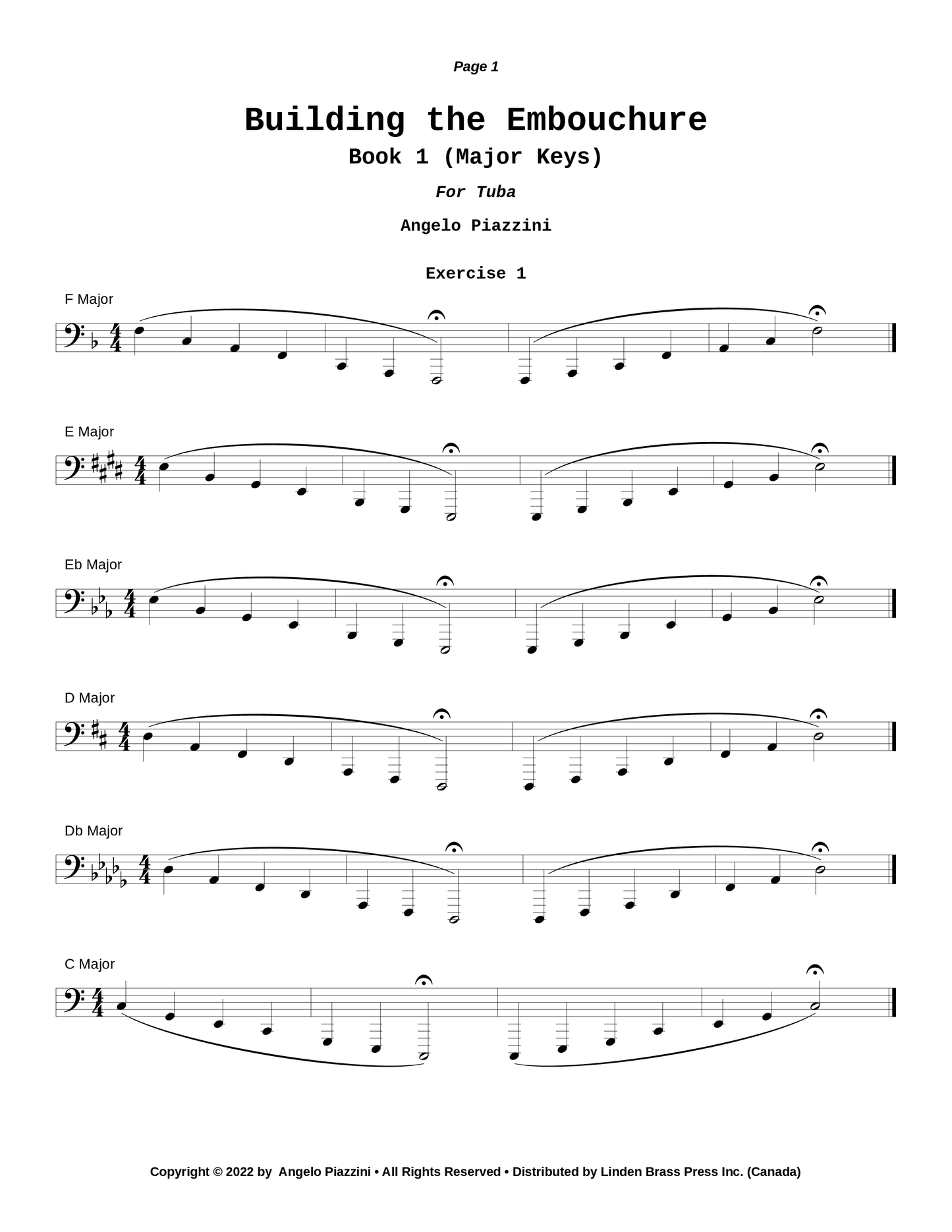 Building the Embouchure