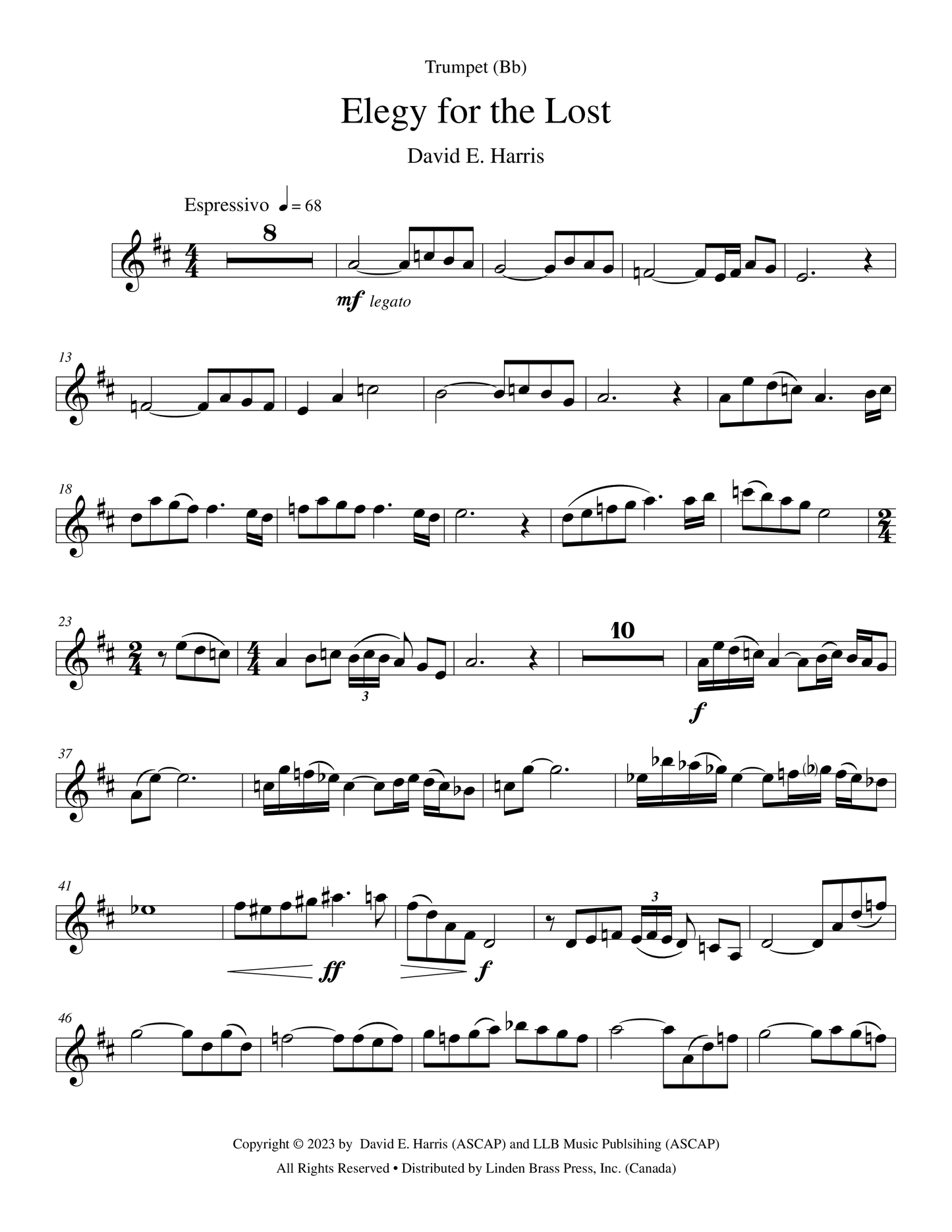 Elegy for the Lost