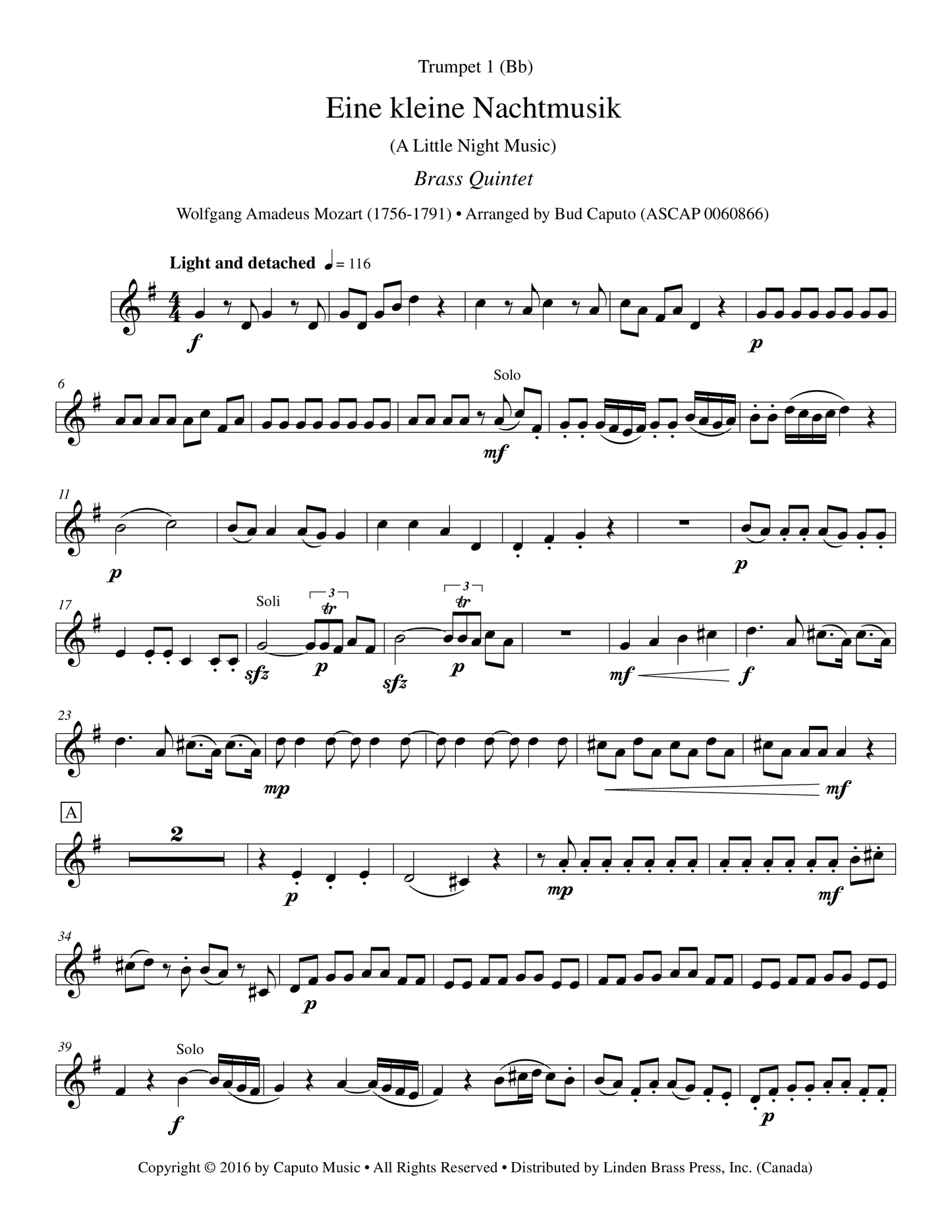 Eine Kleine Nachtmusik