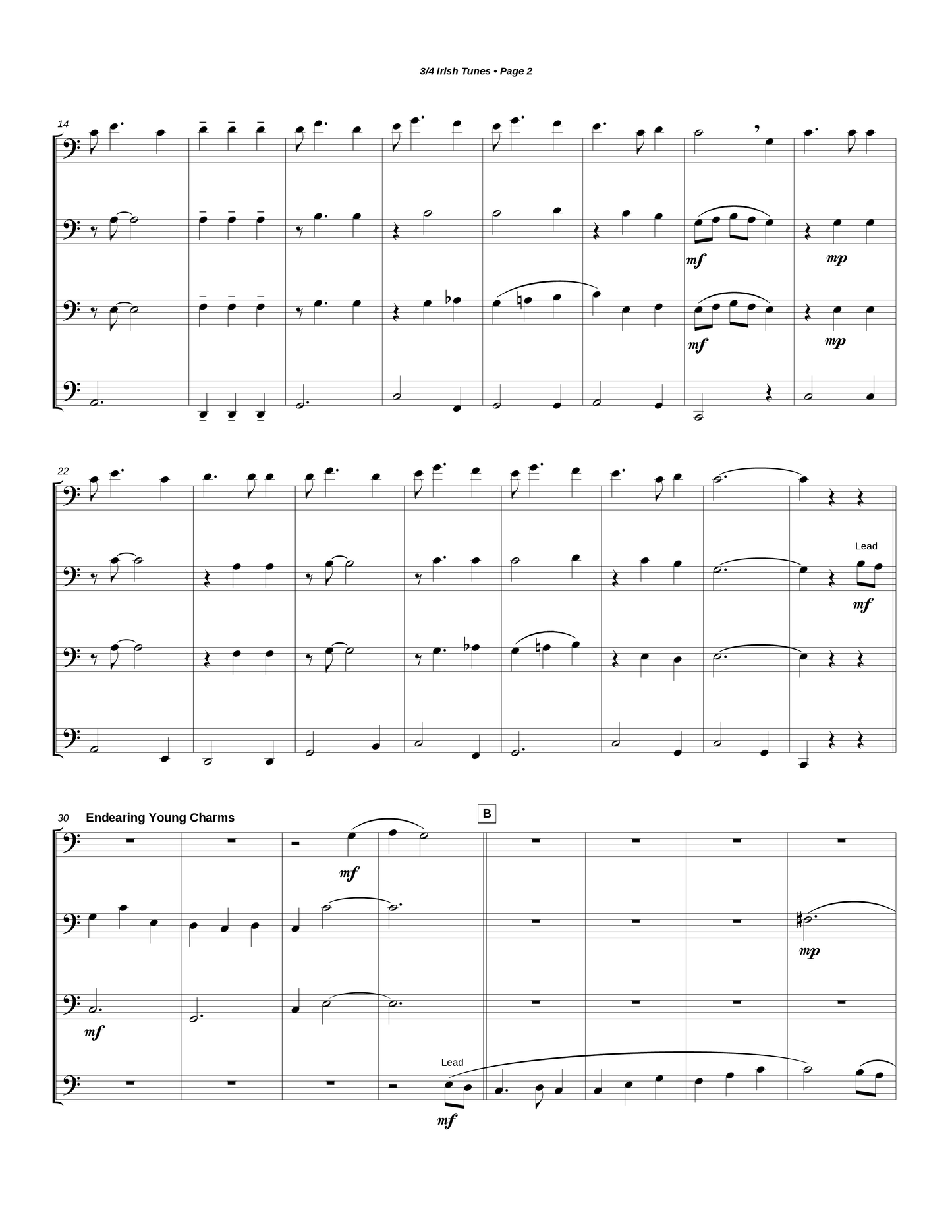 Medley of 3/4 Irish Tunes