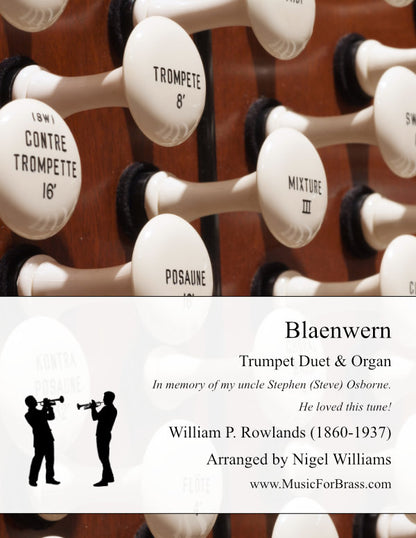 Blaenwern