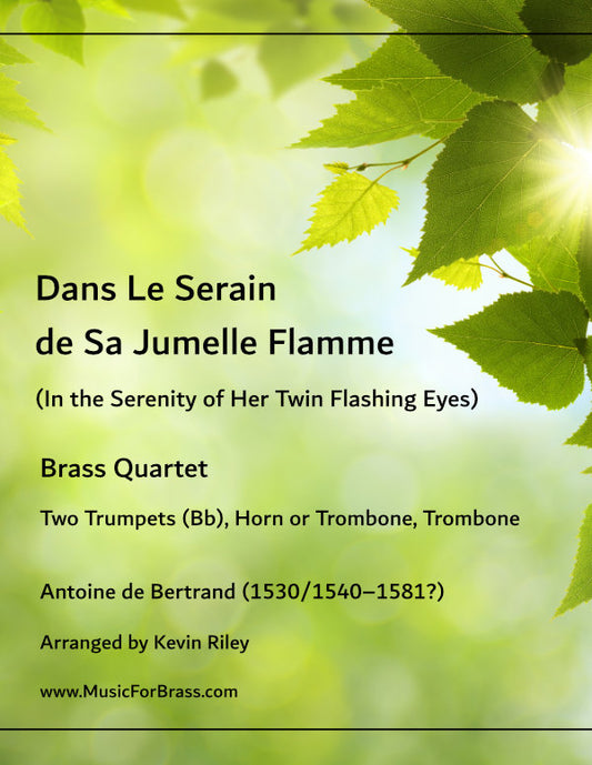 Dans Le Serain de Sa Jumelle Flamme