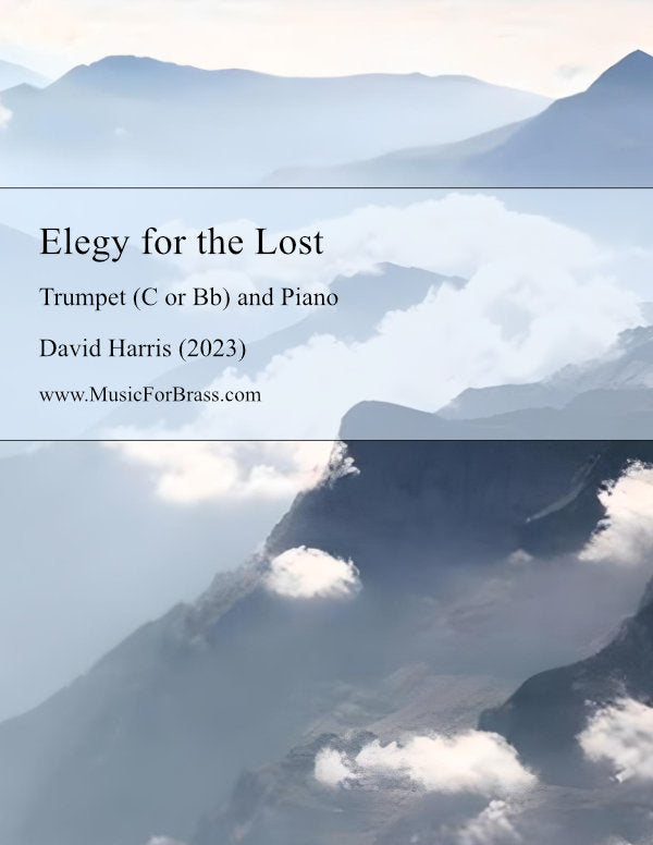 Elegy for the Lost