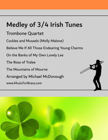 Medley of 3/4 Irish Tunes