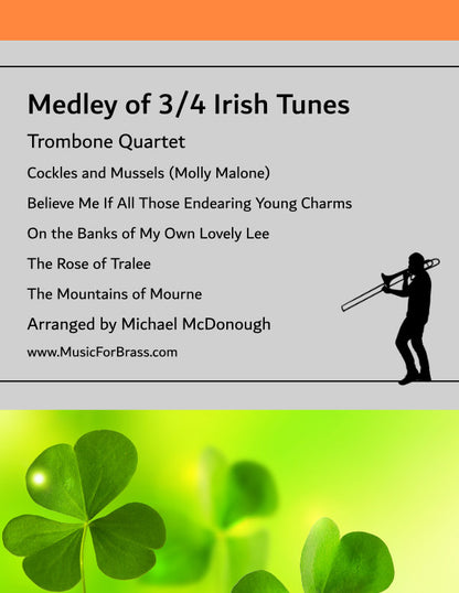 Medley of 3/4 Irish Tunes