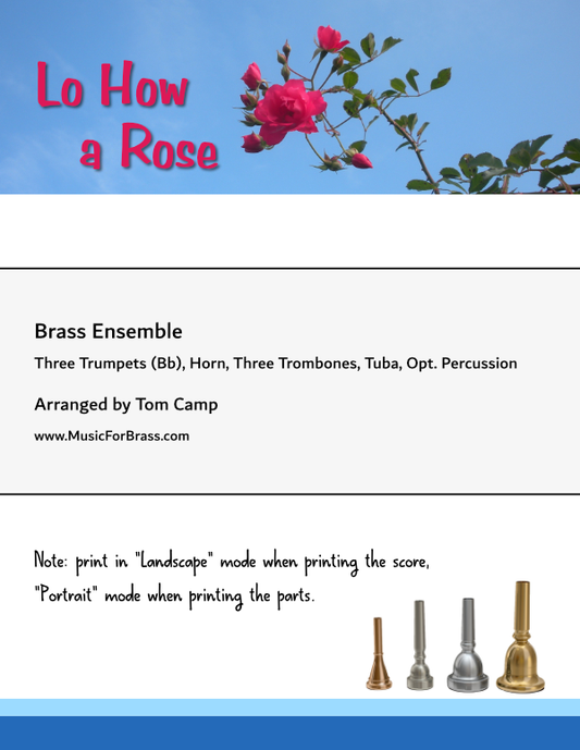 Lo How a Rose