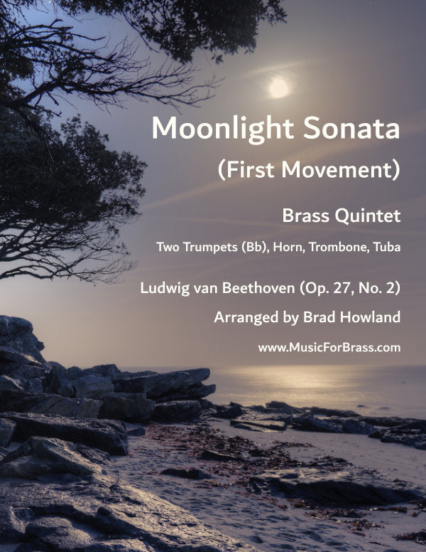 First Movement from the Moonlight Sonata