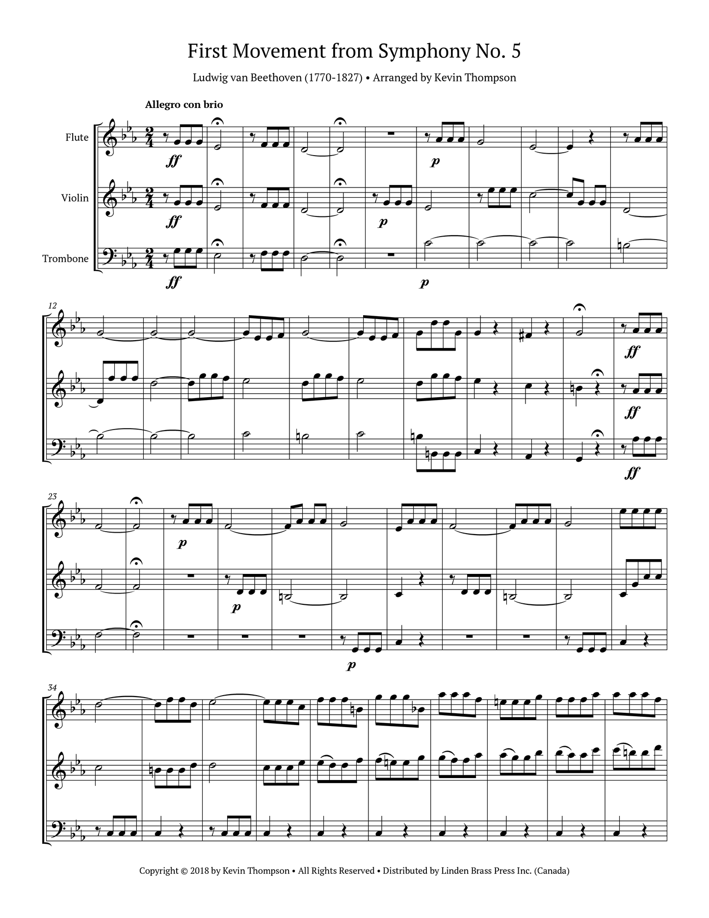 First Movement from Symphony No. 5