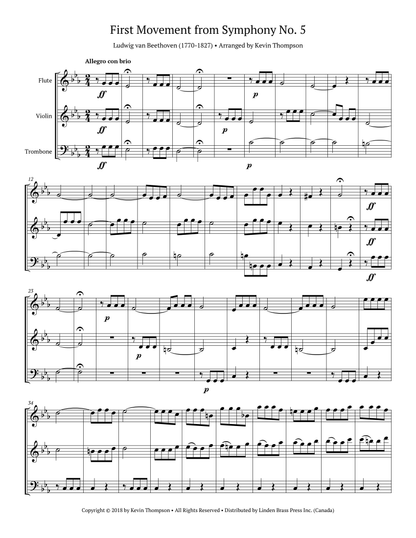 First Movement from Symphony No. 5
