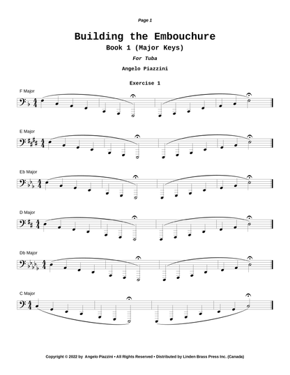 Building the Embouchure
