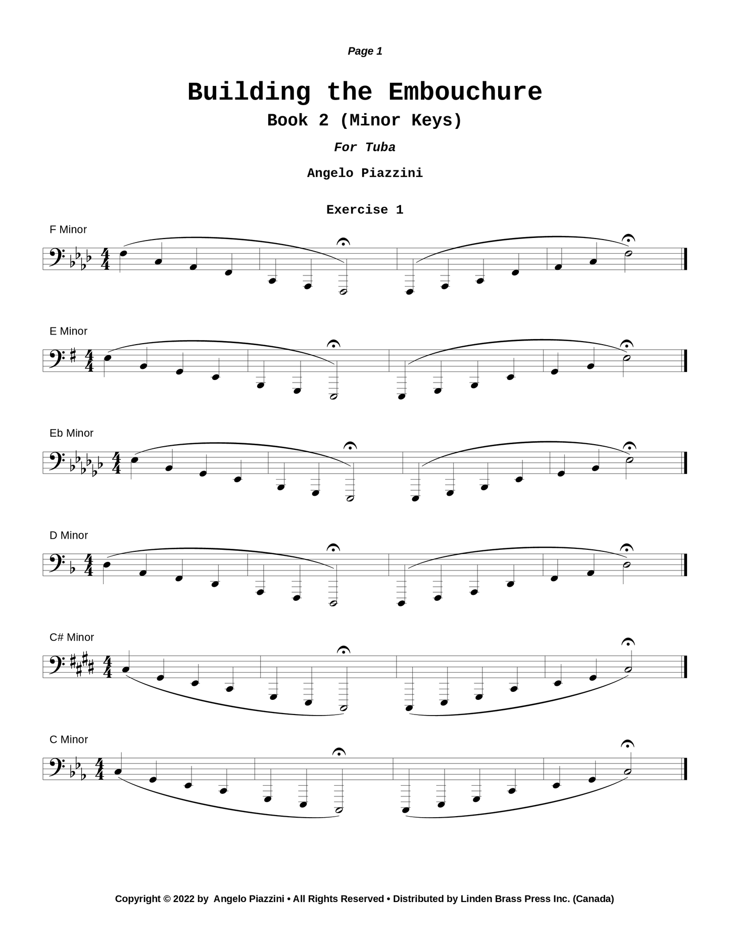 Building the Embouchure