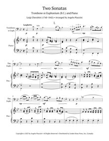 Two Sonatas