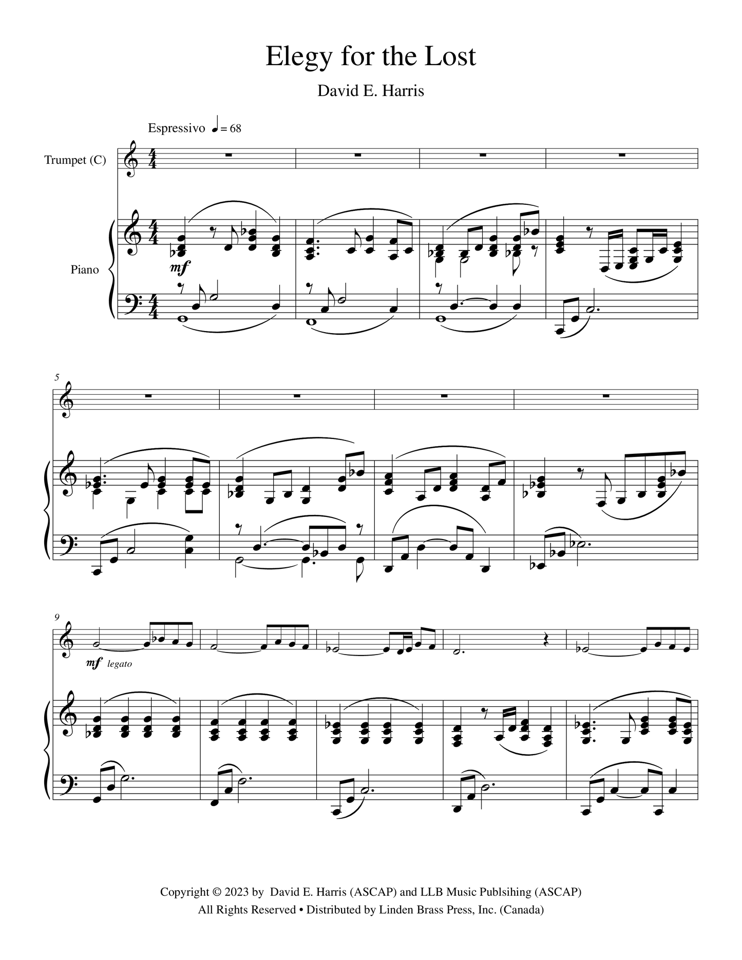 Elegy for the Lost