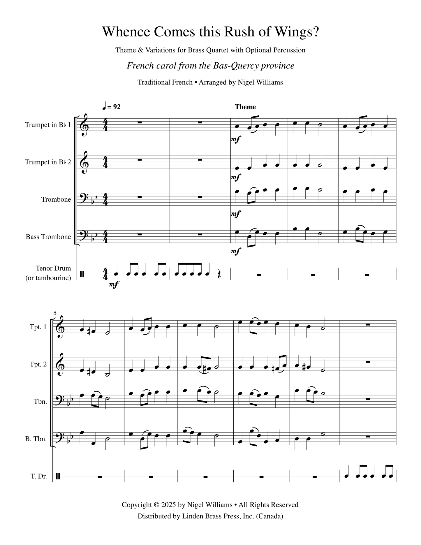 Whence Comes this Rush of Wings?