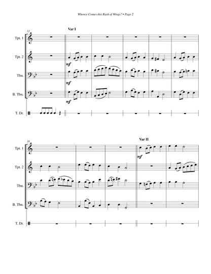 Whence Comes this Rush of Wings?