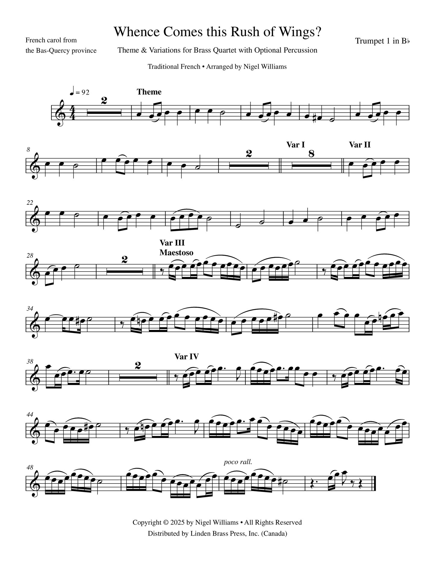 Whence Comes this Rush of Wings?