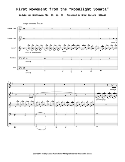 First Movement from the Moonlight Sonata
