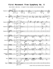 First Movement from Symphony #5