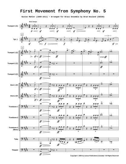 First Movement from Symphony #5