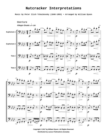 Nutcracker Interpretations