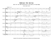 Embrace the Sorrow