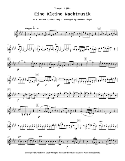 Eine Kleine Nachtmusik
