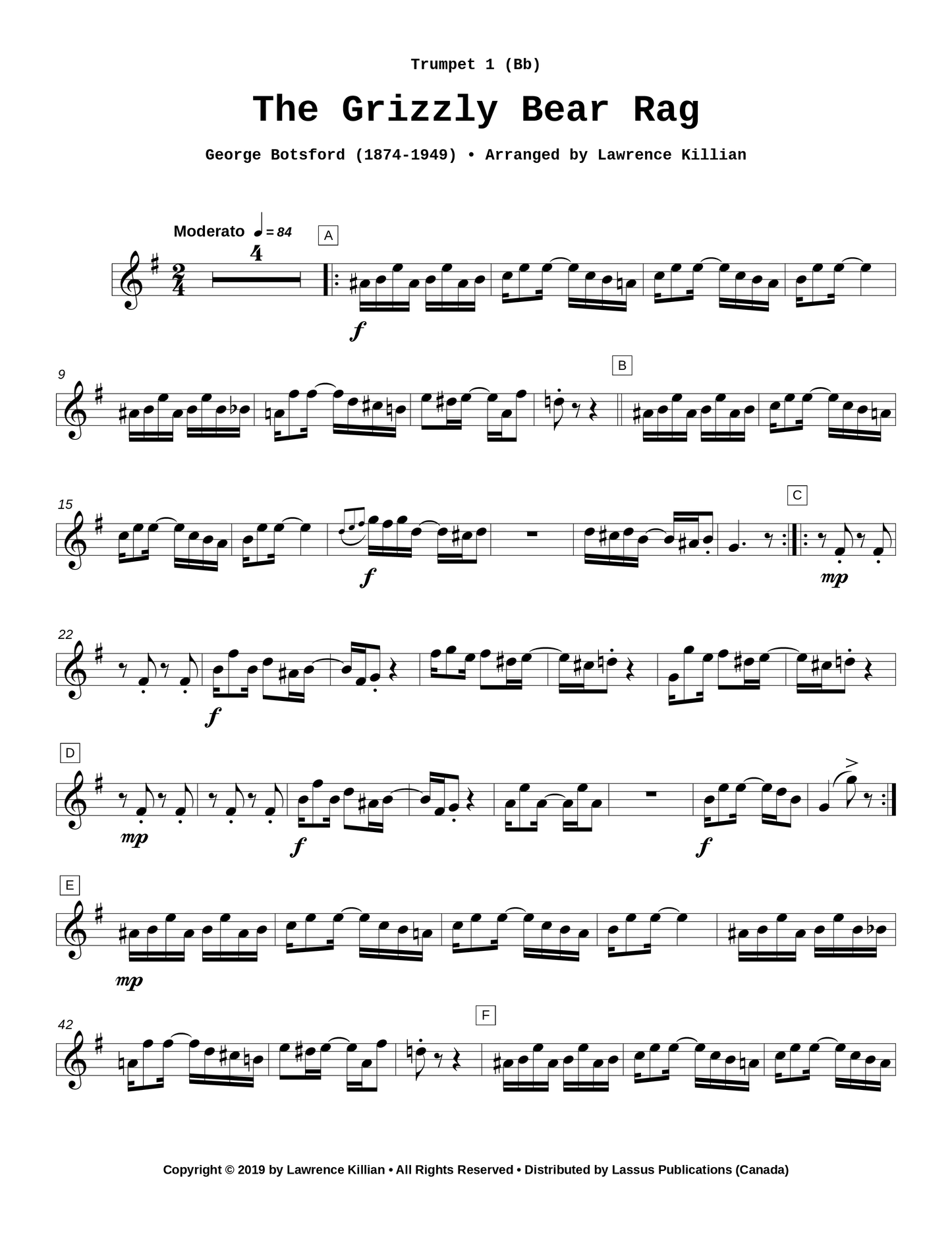 Grizzly Bear Rag