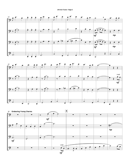Medley of 3/4 Irish Tunes