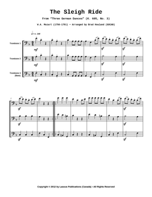 The Sleigh Ride