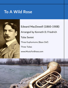 To A Wild Rose