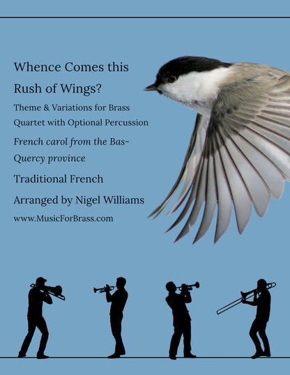 Whence Comes this Rush of Wings?