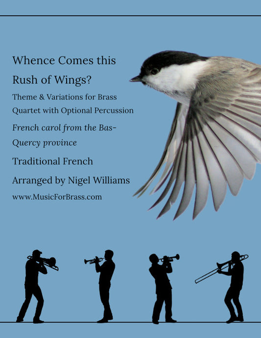 Whence Comes this Rush of Wings?